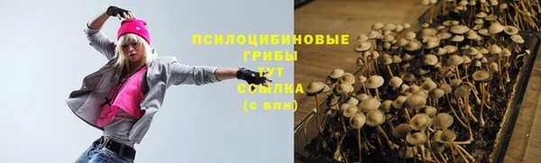 спиды Алзамай