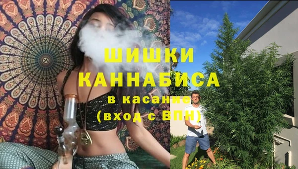 ГАЛЛЮЦИНОГЕННЫЕ ГРИБЫ Алексеевка