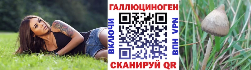 Псилоцибиновые грибы прущие грибы  Всеволожск 